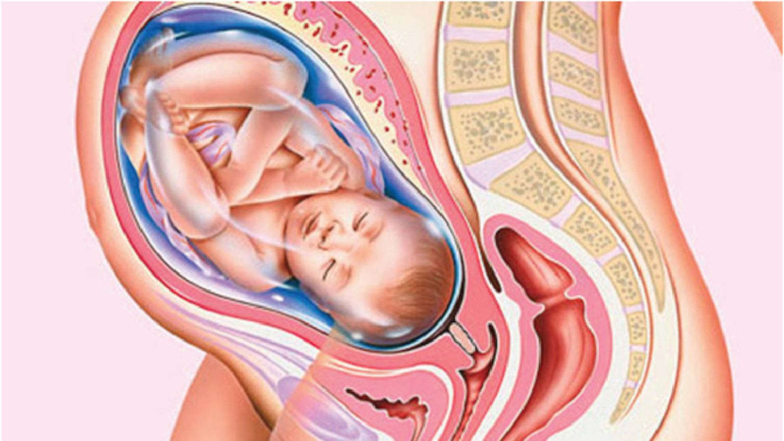 Những dấu hiệu thai nhi khỏe mạnh 3 tháng cuối mẹ bầu cần biết 2