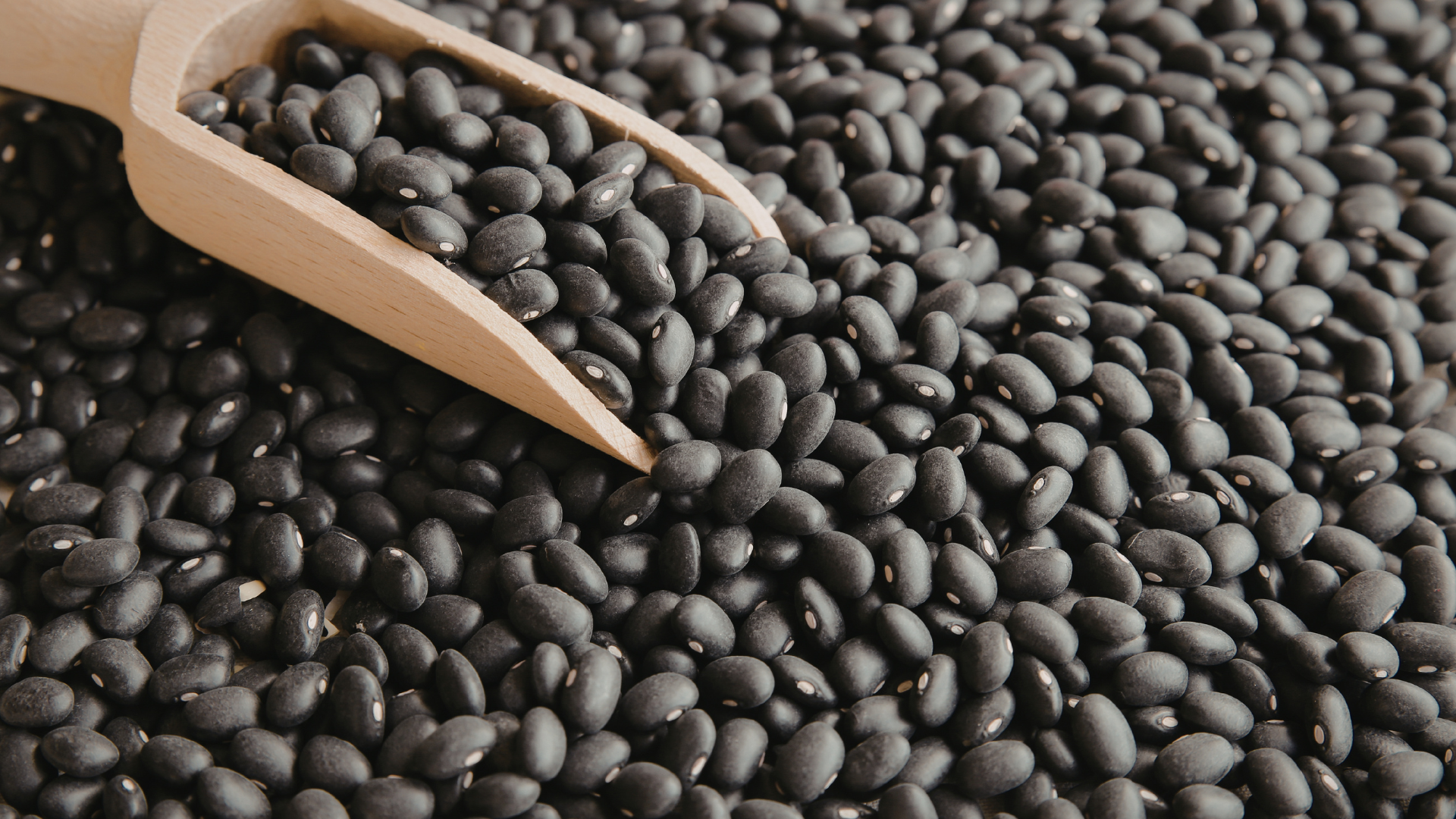 Nhận diện sớm những người không nên ăn đậu đen để tránh rủi ro sức khỏe