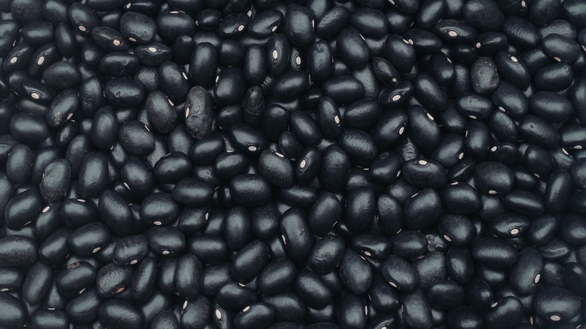 Hiểu cơ chế sinh học giúp lý giải vì sao những người không nên ăn đậu đen cần thận trọng