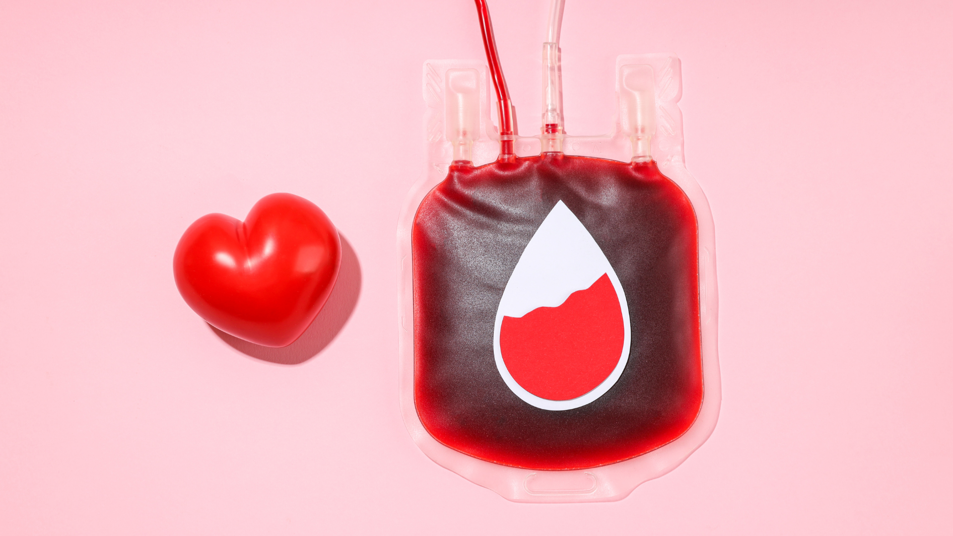 Không phải lúc nào bạn cũng ở trạng thái phù hợp để hiến máu, ngay cả khi trước đó đã từng hiến