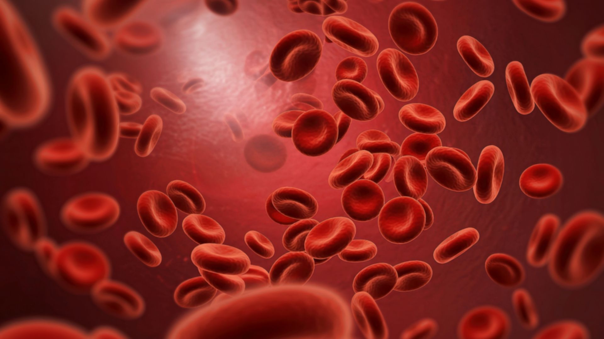 Người bị thiếu máu là một trong những người không nên uống nước chè xanh