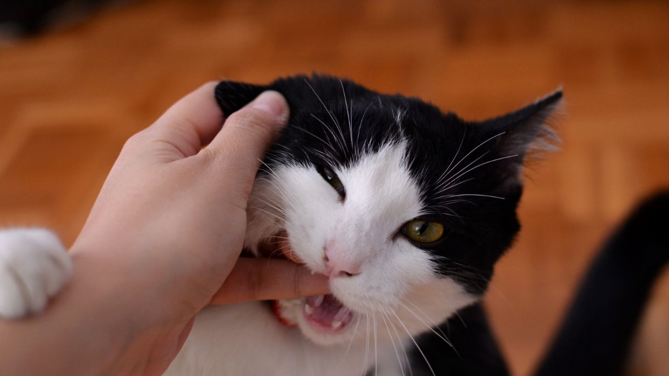 nhung-quan-niem-sai-lam-ve-benh-dai 1