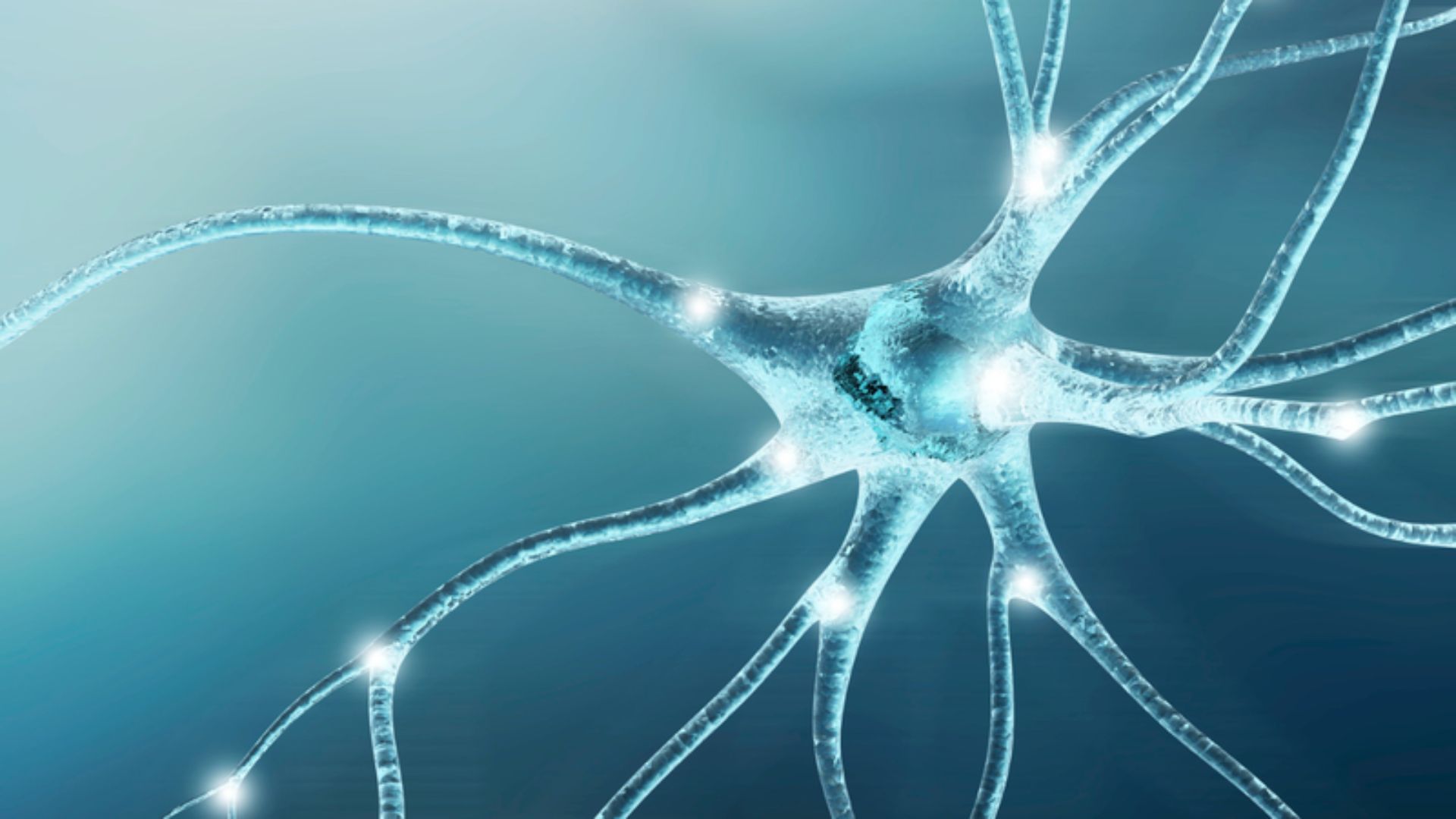 Dây thần kinh số là 12 trong 12 đôi dây thần kinh sọ não