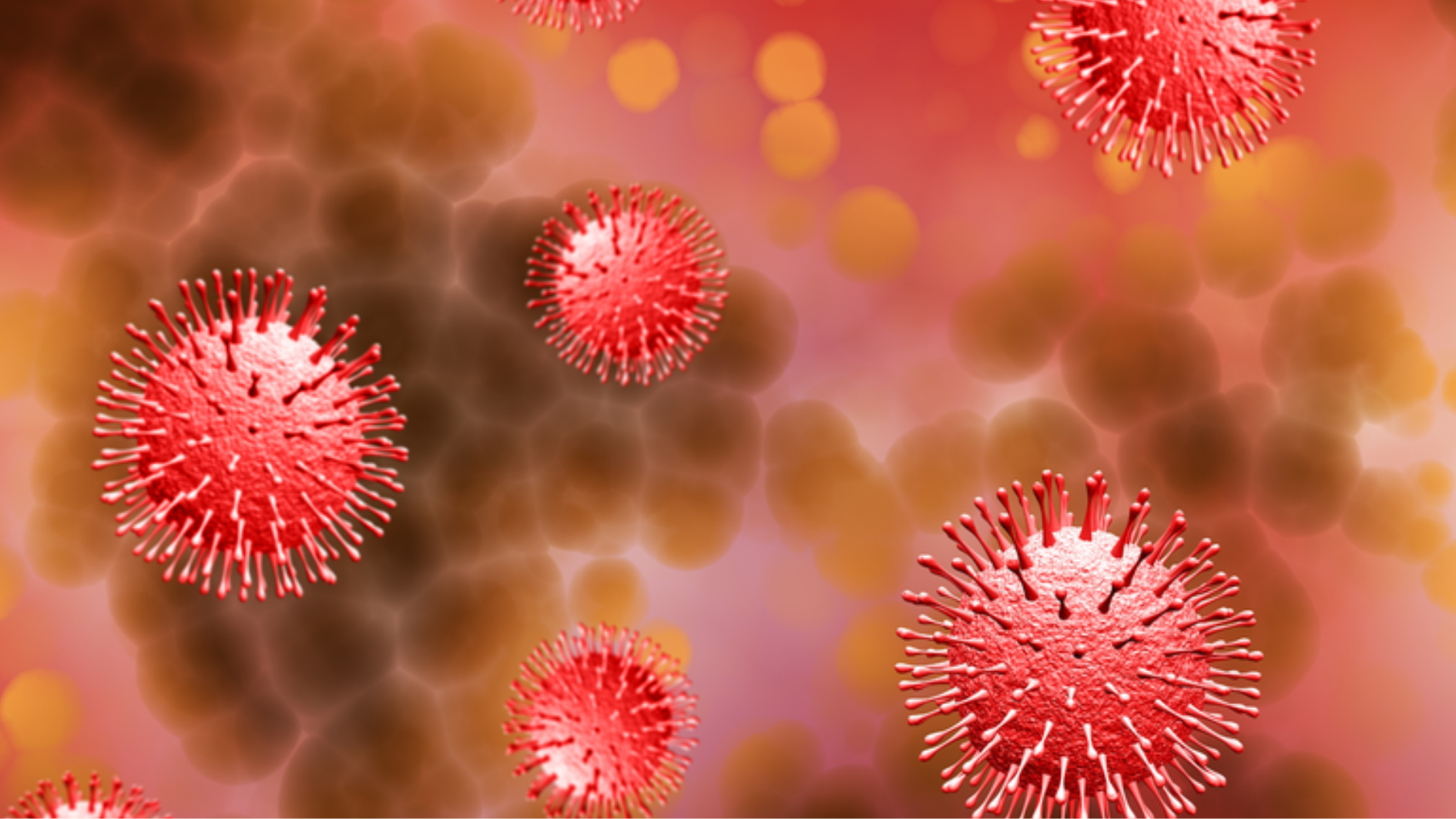 noi-tiem-hpv-o-tien-giang-uy-tin-an-toan-ban-nen-biet (1).png