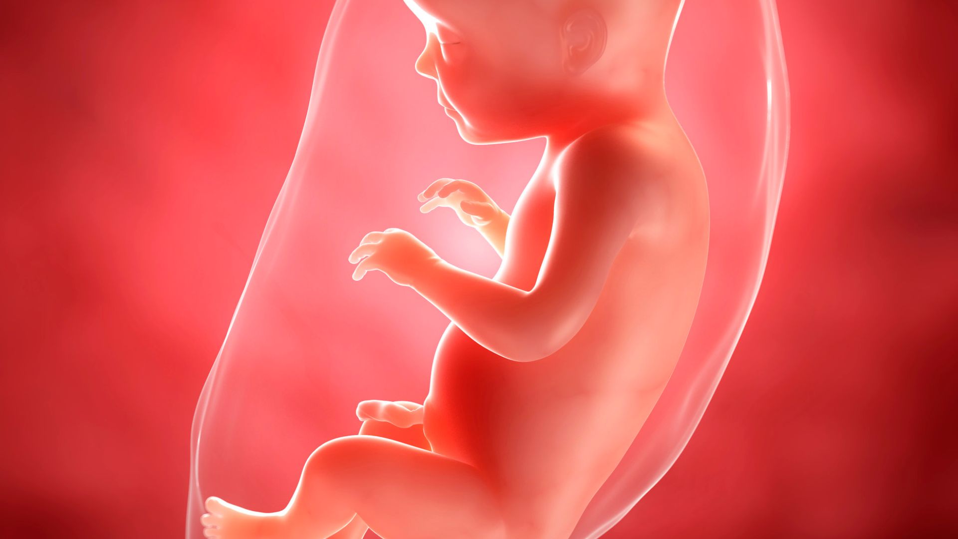 Nước ối tăng âm xảy ra khi lượng nước ối tăng cao hơn so với mức bình thường