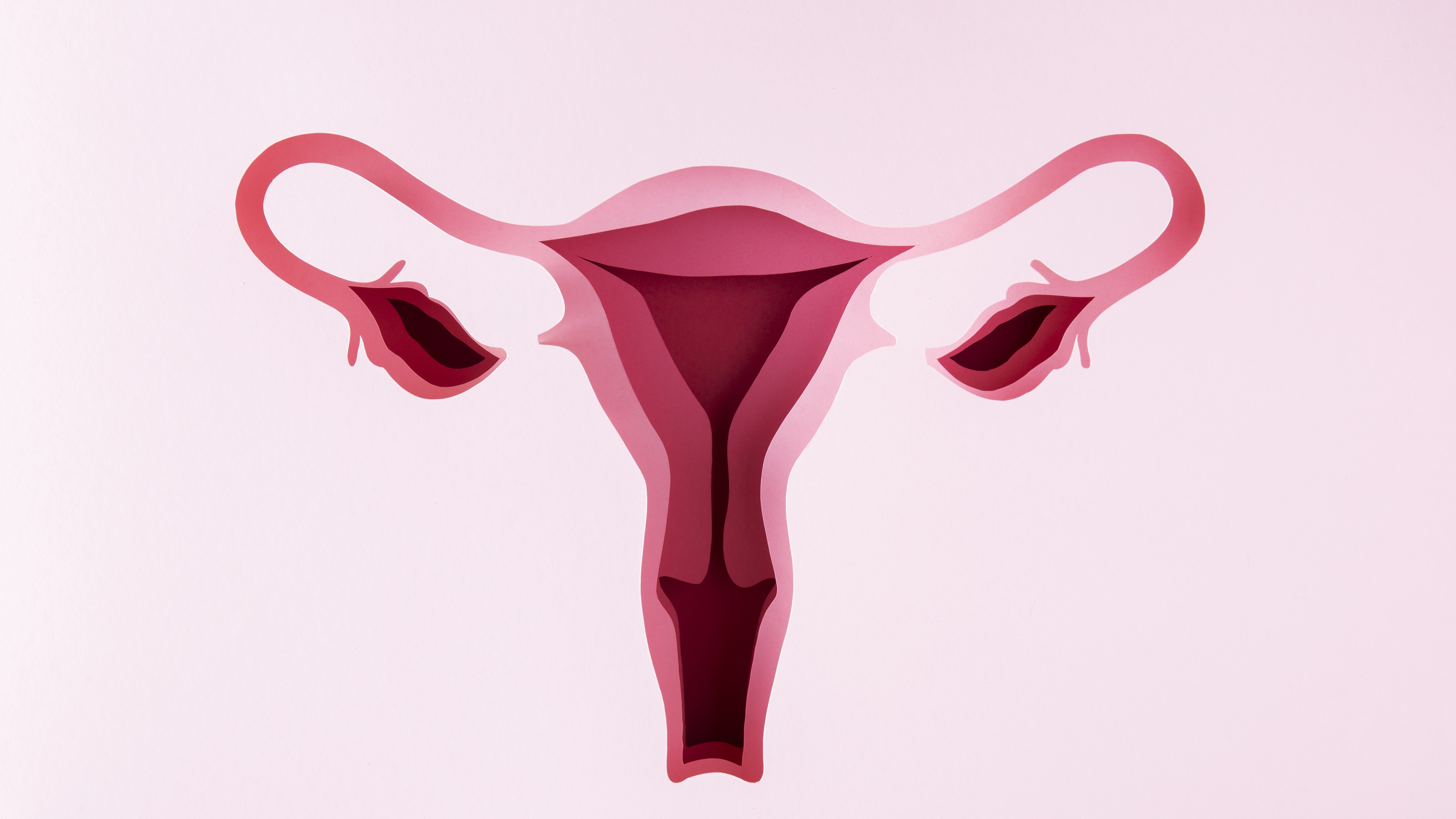 Ống dẫn trứng là nơi tinh trùng gặp trứng để thụ tinh