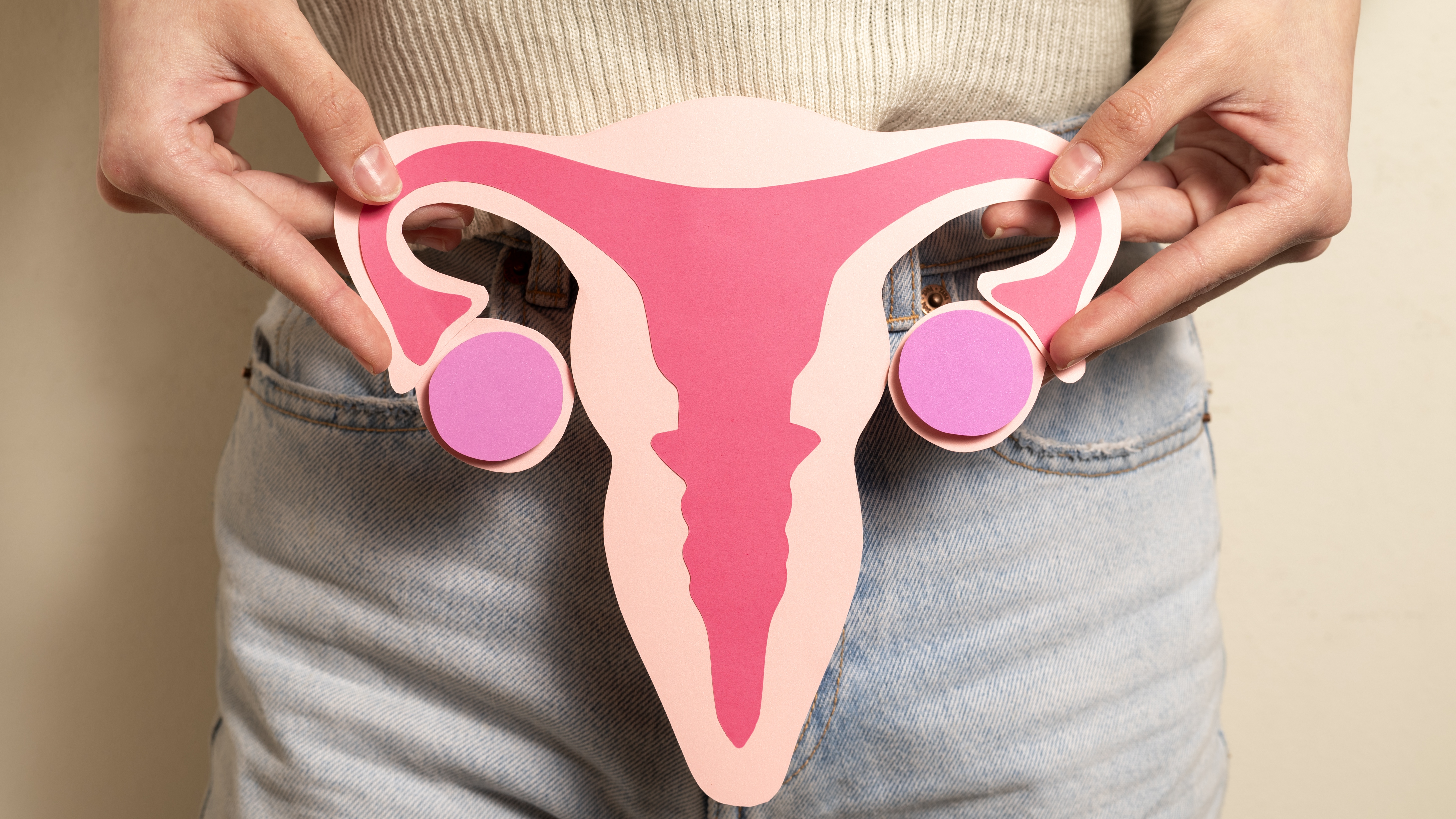 Phần bóng của ống dẫn trứng là đoạn phình to nhất, dài nhất