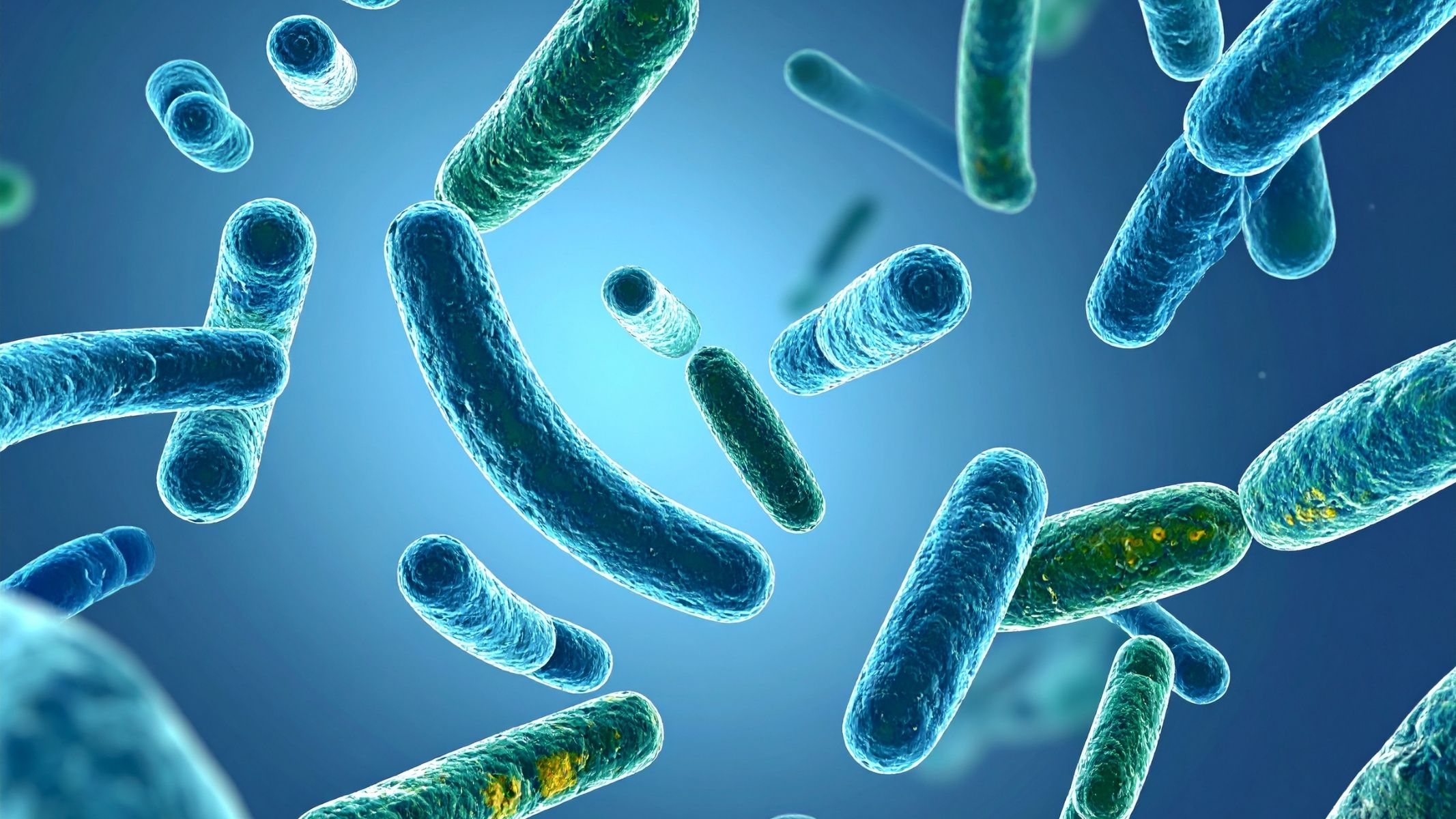 Vi khuẩn H.pylori là nguyên nhân hàng đầu gây viêm dạ dày