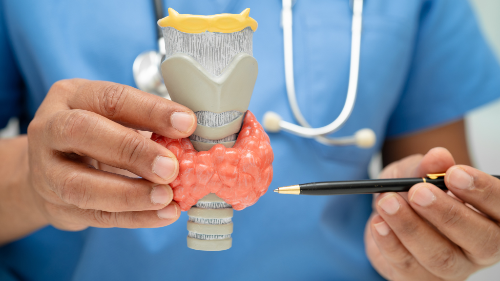 Cường giáp là bệnh lý liên quan đến rối loạn hệ nội tiết thường gặp, ảnh hưởng đến nhịp tim, cân nặng,...