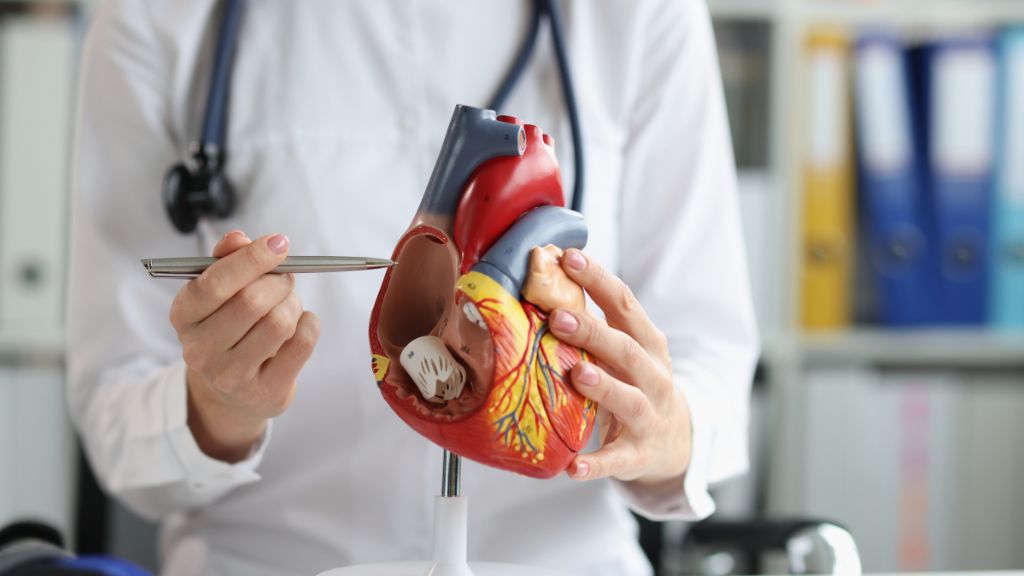 Phân suất tống máu EF là gì? Ý nghĩa trong chẩn đoán bệnh tim mạch 5