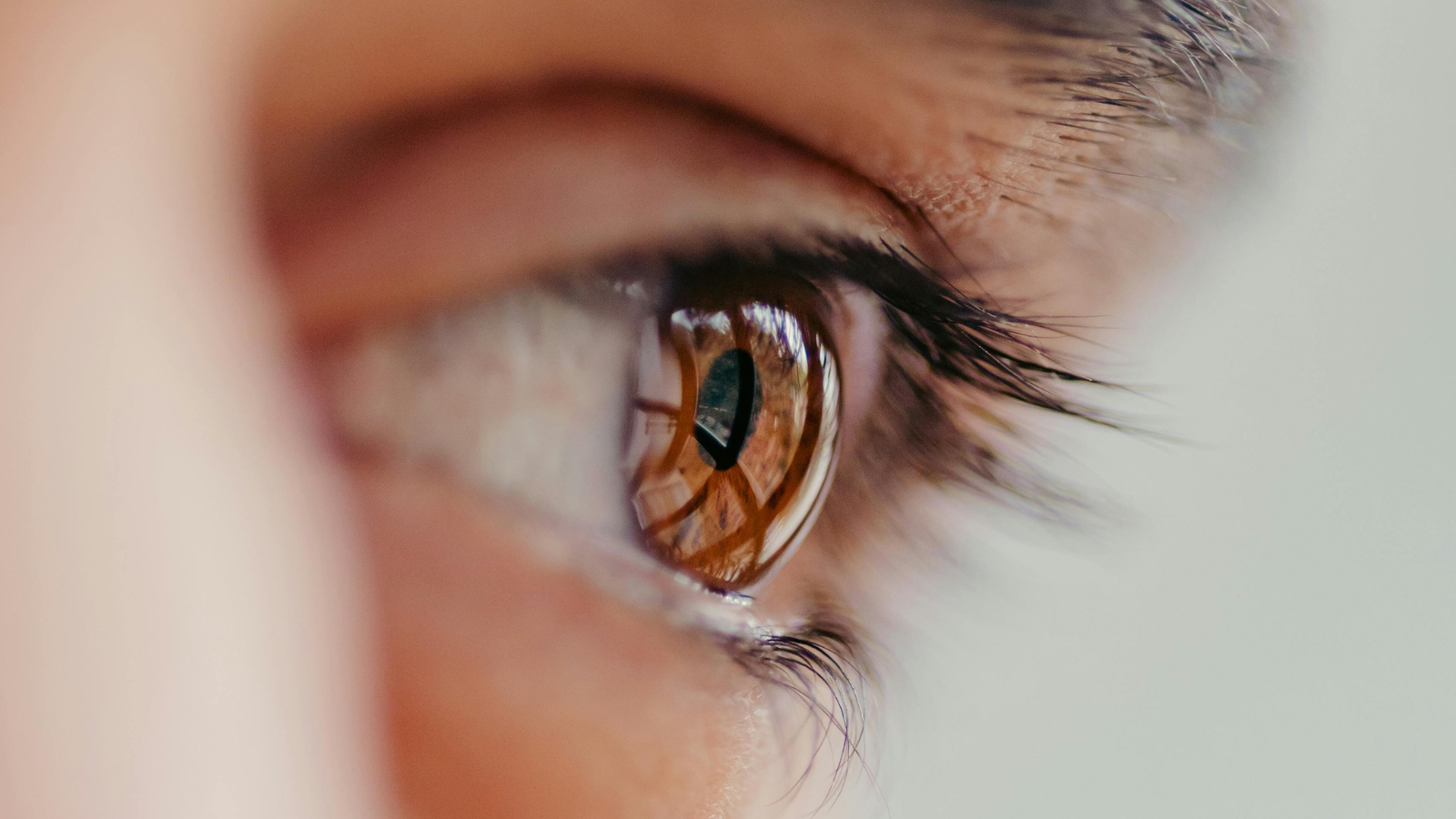 Chẩn đoán các bệnh lý về mắt