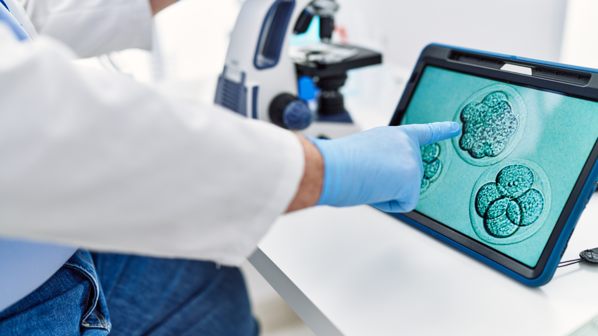 Kiểm tra phôi ngày ba dựa vào số lượng tế bào, sự đồng đều kích thước và mức phân mảnh thấp