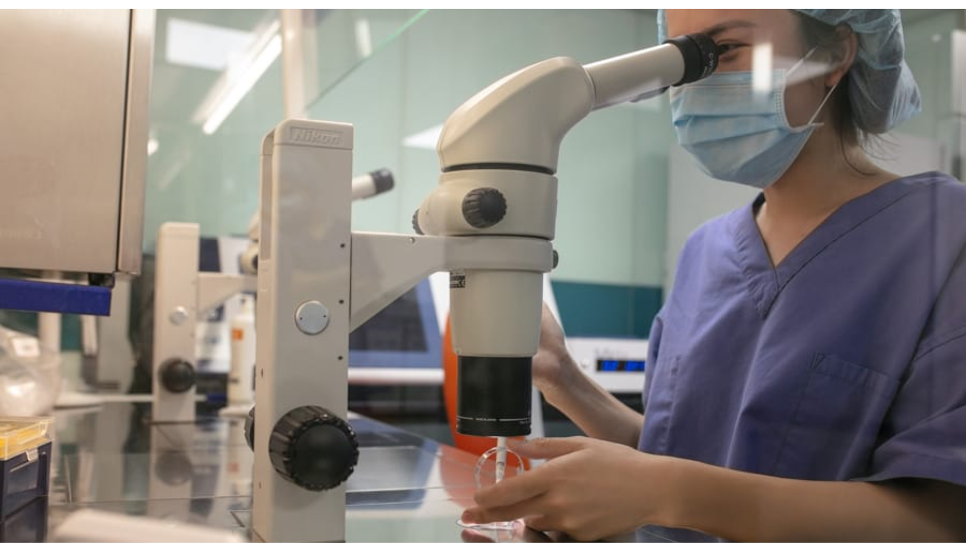 Chuyên viên phôi học quan sát hình thái phôi dưới kính hiển vi, ghi nhận tiêu chí và xếp hạng chính xác