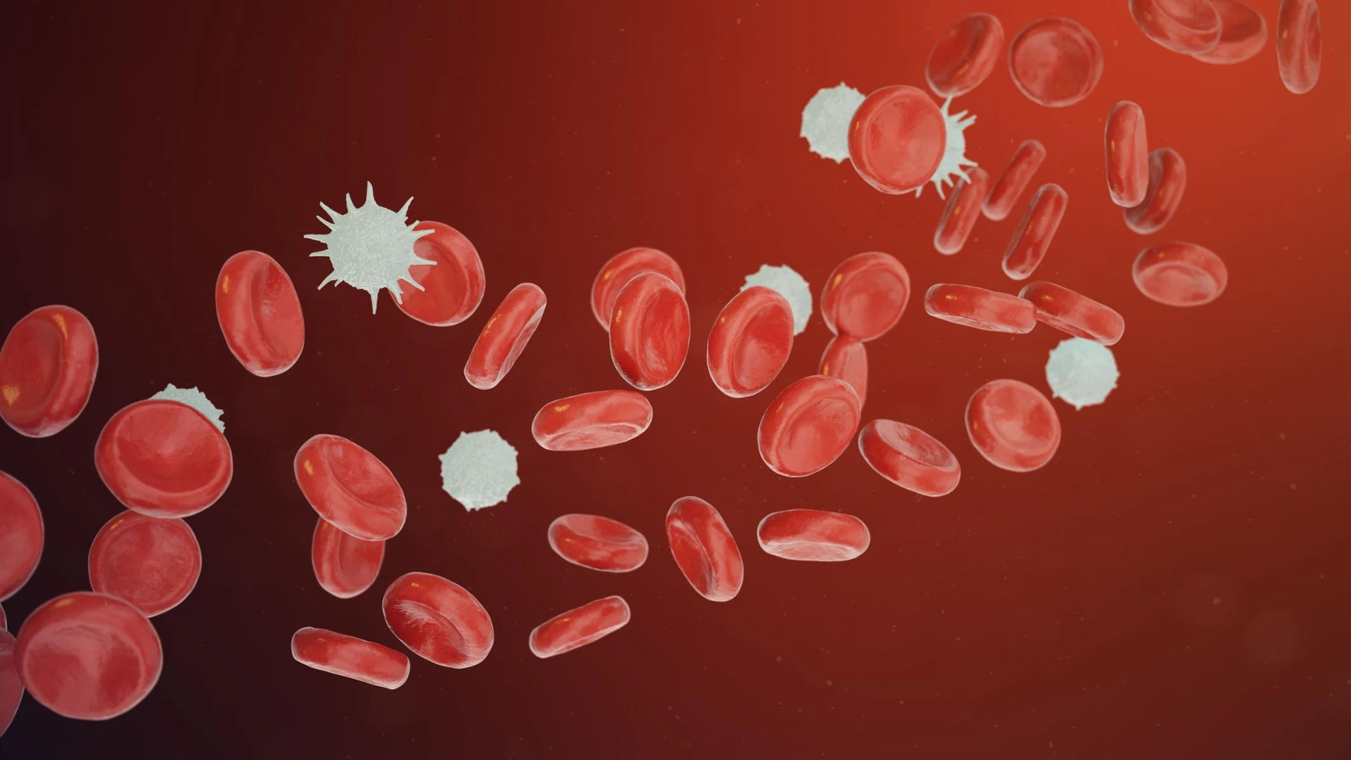 Một phôi loại 1 vẫn khó làm tổ nếu tử cung bất thường, mẹ gặp rối loạn đông máu hoặc miễn dịch