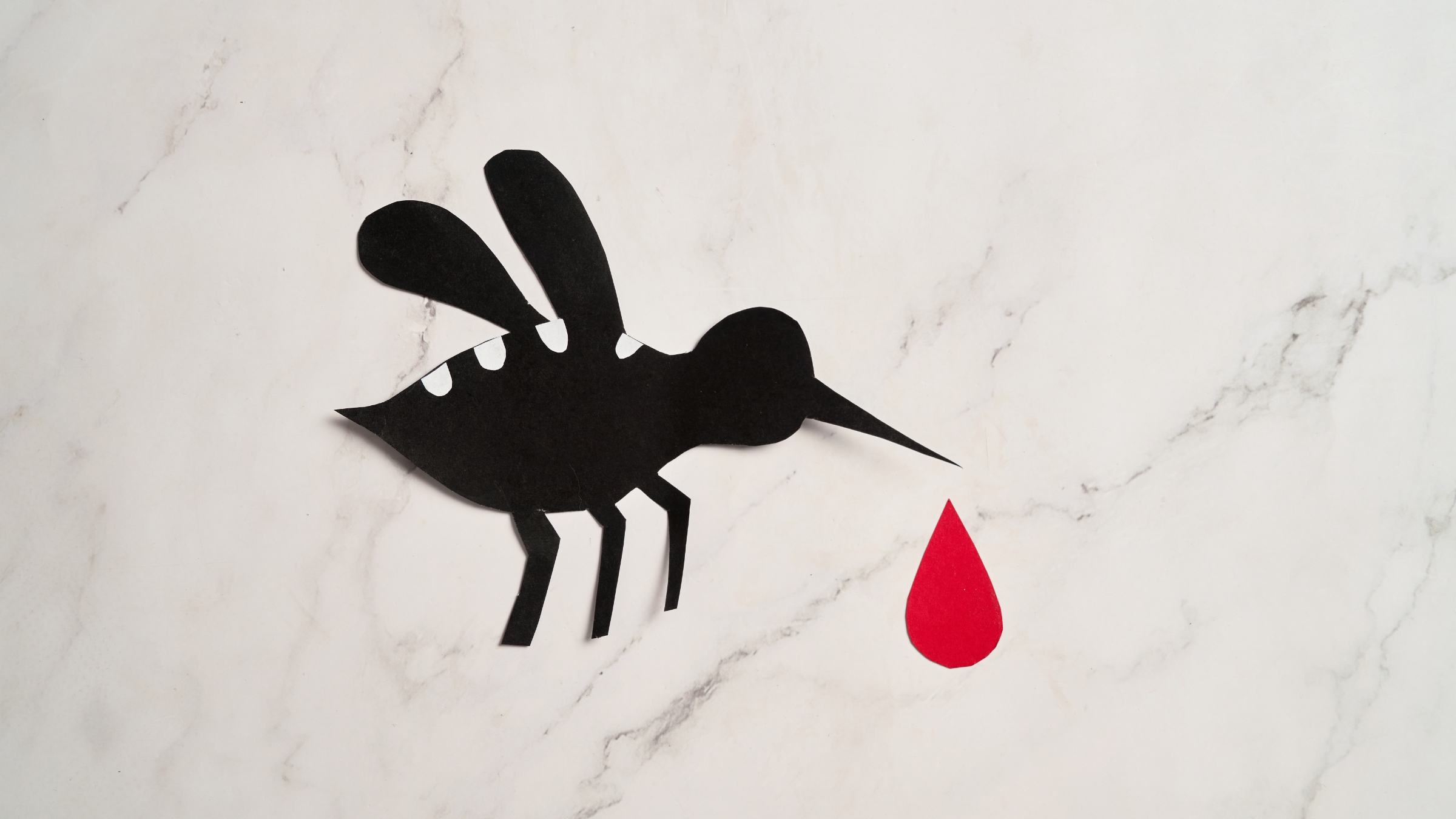 Muỗi đốt là con đường phổ biến nhất lây truyền virus Zika