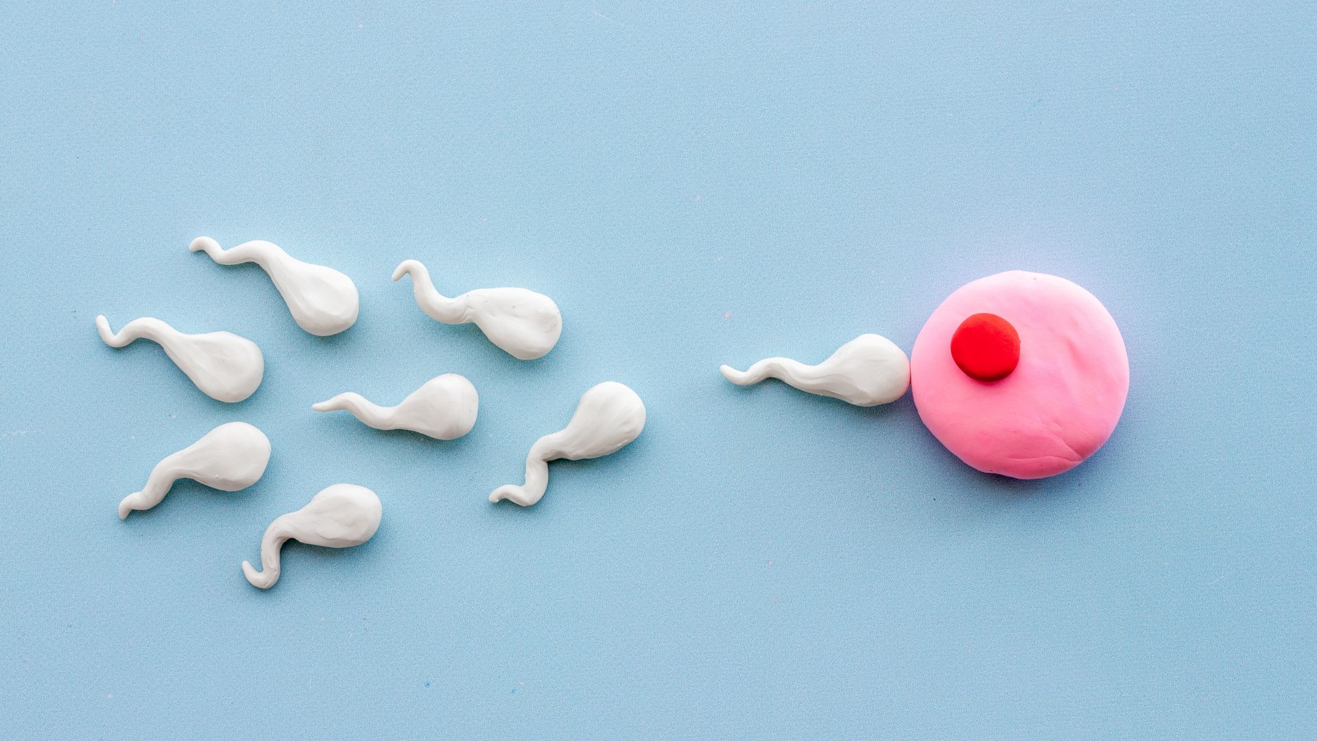 Bệnh bại liệt có thể làm giảm khả năng thụ thai ở phụ nữ