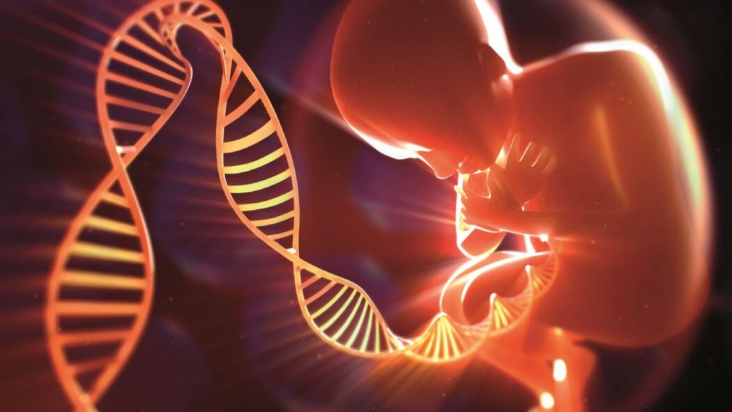 Polyp đại tràng là gì? Triệu chứng, nguyên nhân, chẩn đoán và phương pháp điều trị 2