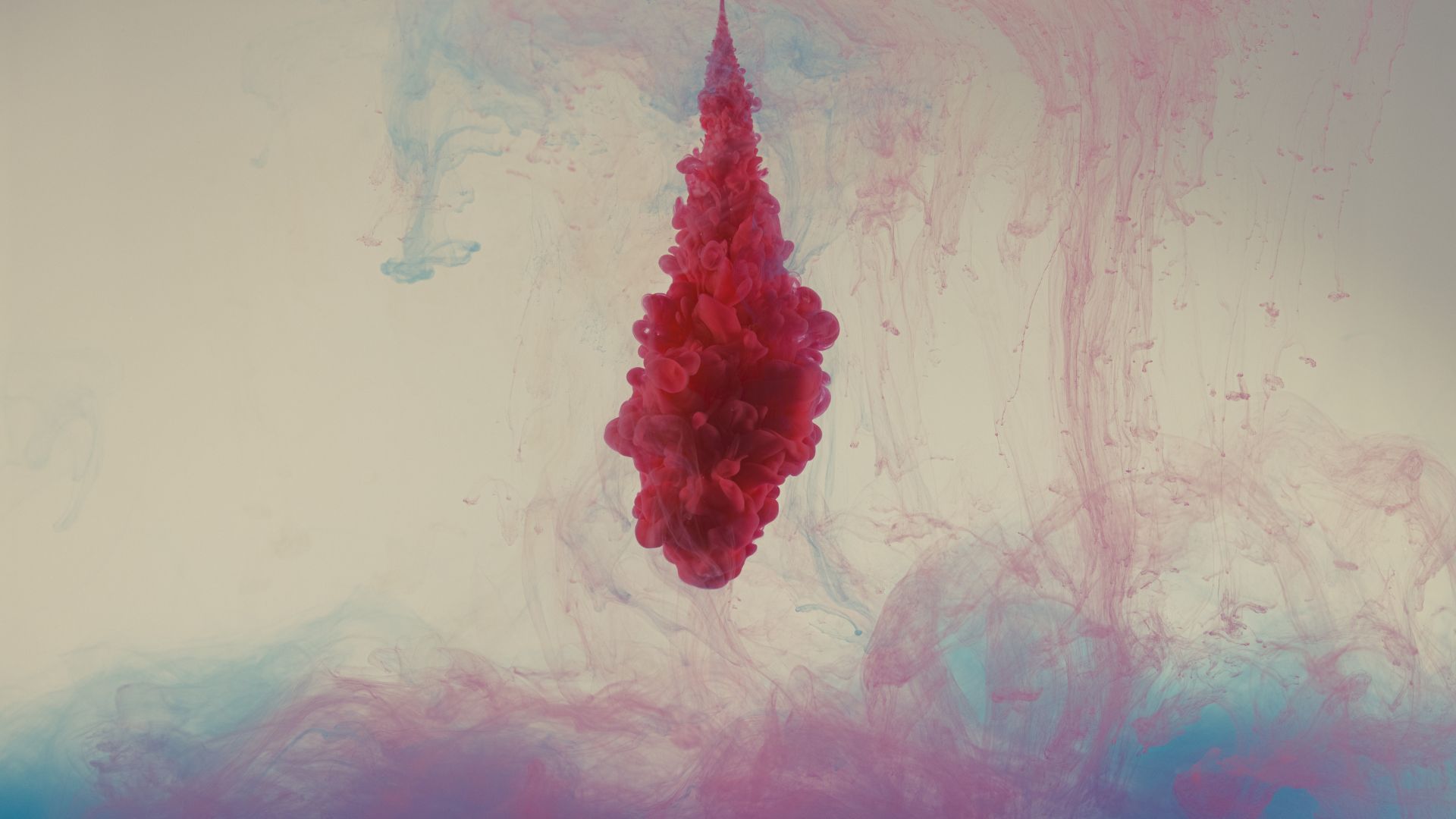 Chảy máu đỏ tươi hoặc máu lẫn trong phân là triệu chứng thường gặp của polyp hậu môn