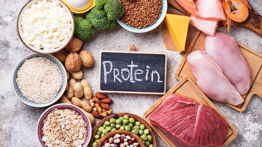 So sánh sự khác biệt giữa protein động vật và protein thực vật