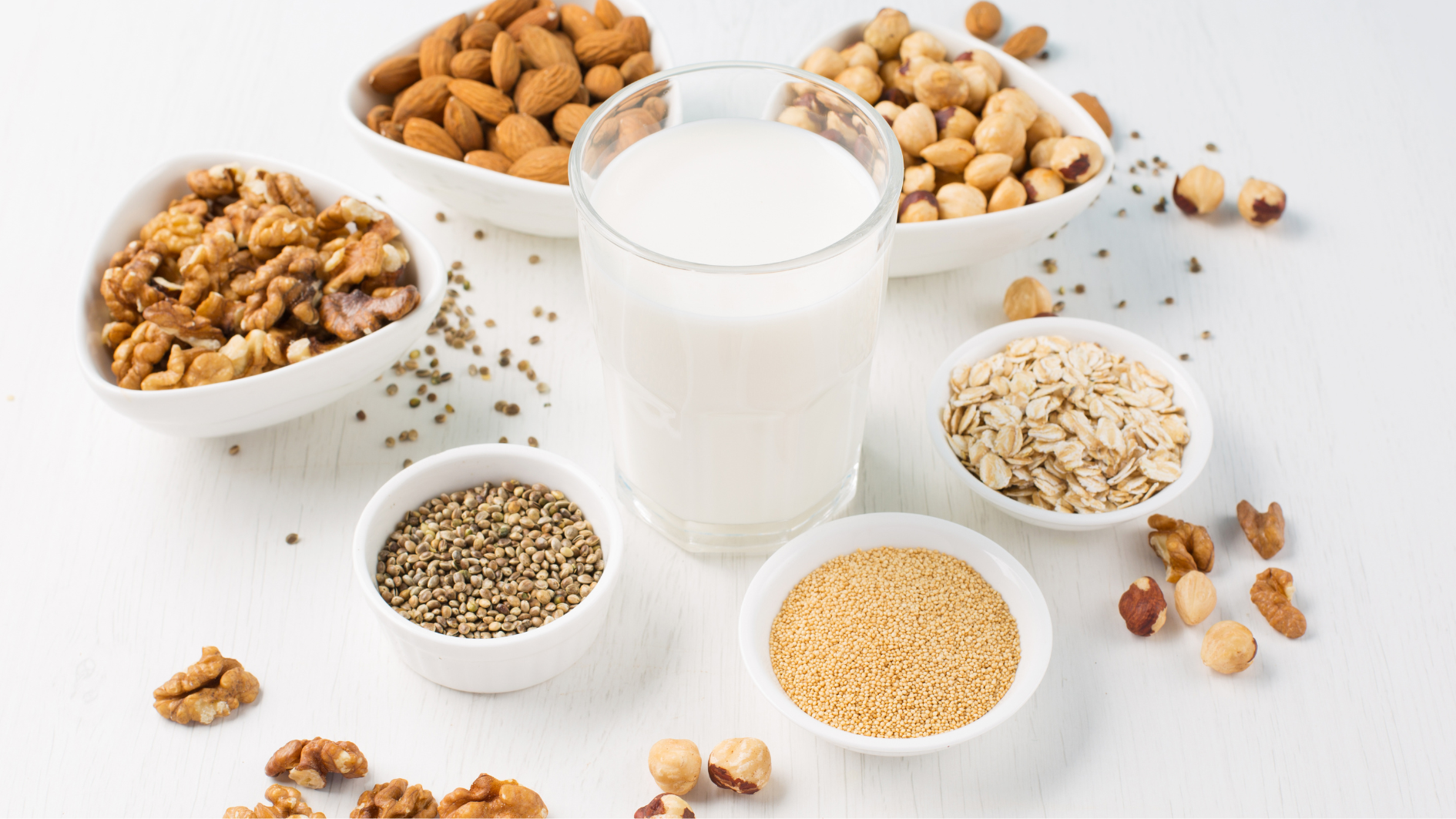 Protein thực vật là gì? Có vai trò gì đối với cơ thể? 3