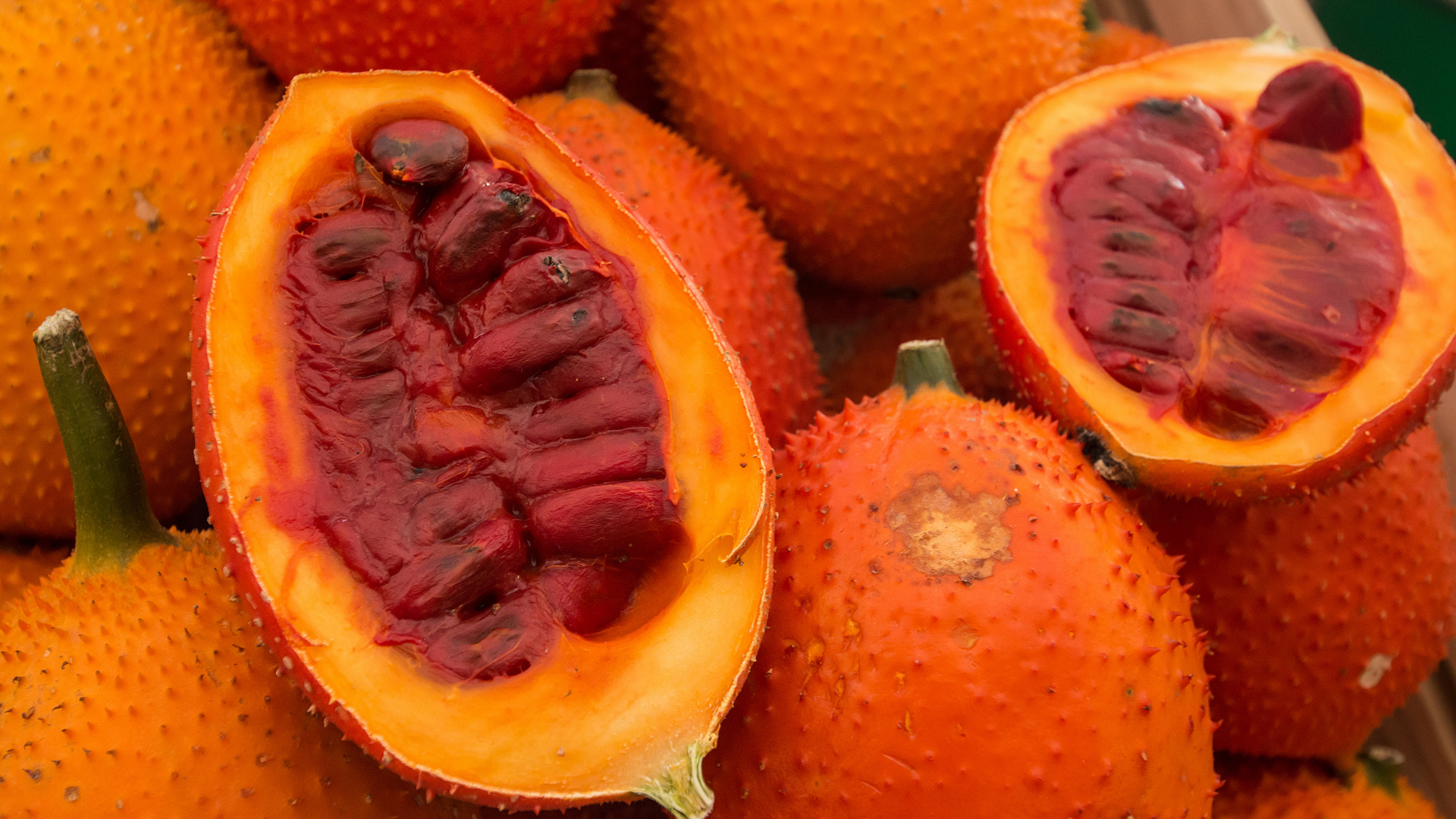 Quả gấc có tác dụng gì đối với sức khỏe?