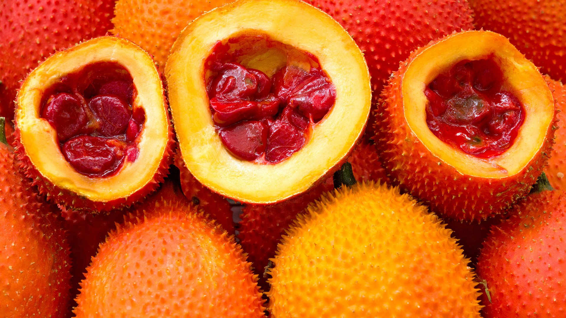 Thành phần dinh dưỡng quan trọng trong quả gấc