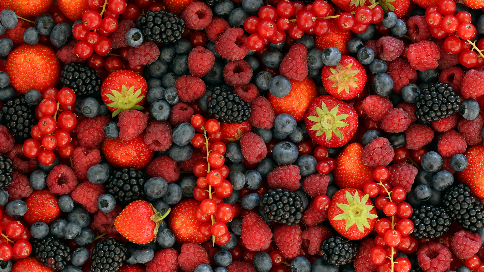 Lưu ý khi chọn và bảo quản quả mọng