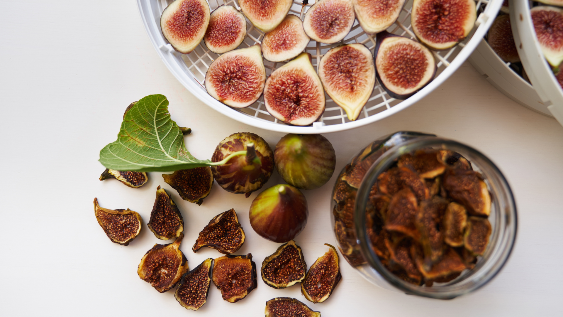 Sung khô chứa các hợp chất thực vật có lợi như polyphenol, thuộc nhóm chất chống oxy hóa mạnh