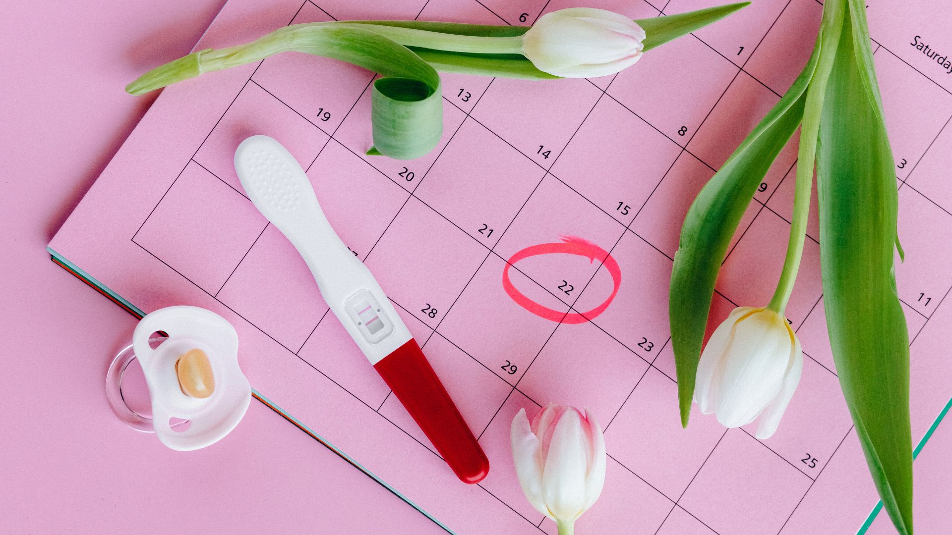 Chị em nên thử thai từ 10 ngày trở đi kể từ ngày rụng trứng