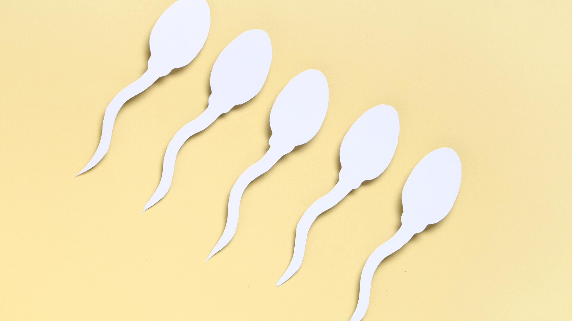 Khoảng 3 đến 7 phút là thời gian quan hệ phổ biến, nhiều cặp đôi vẫn cảm thấy hài lòng