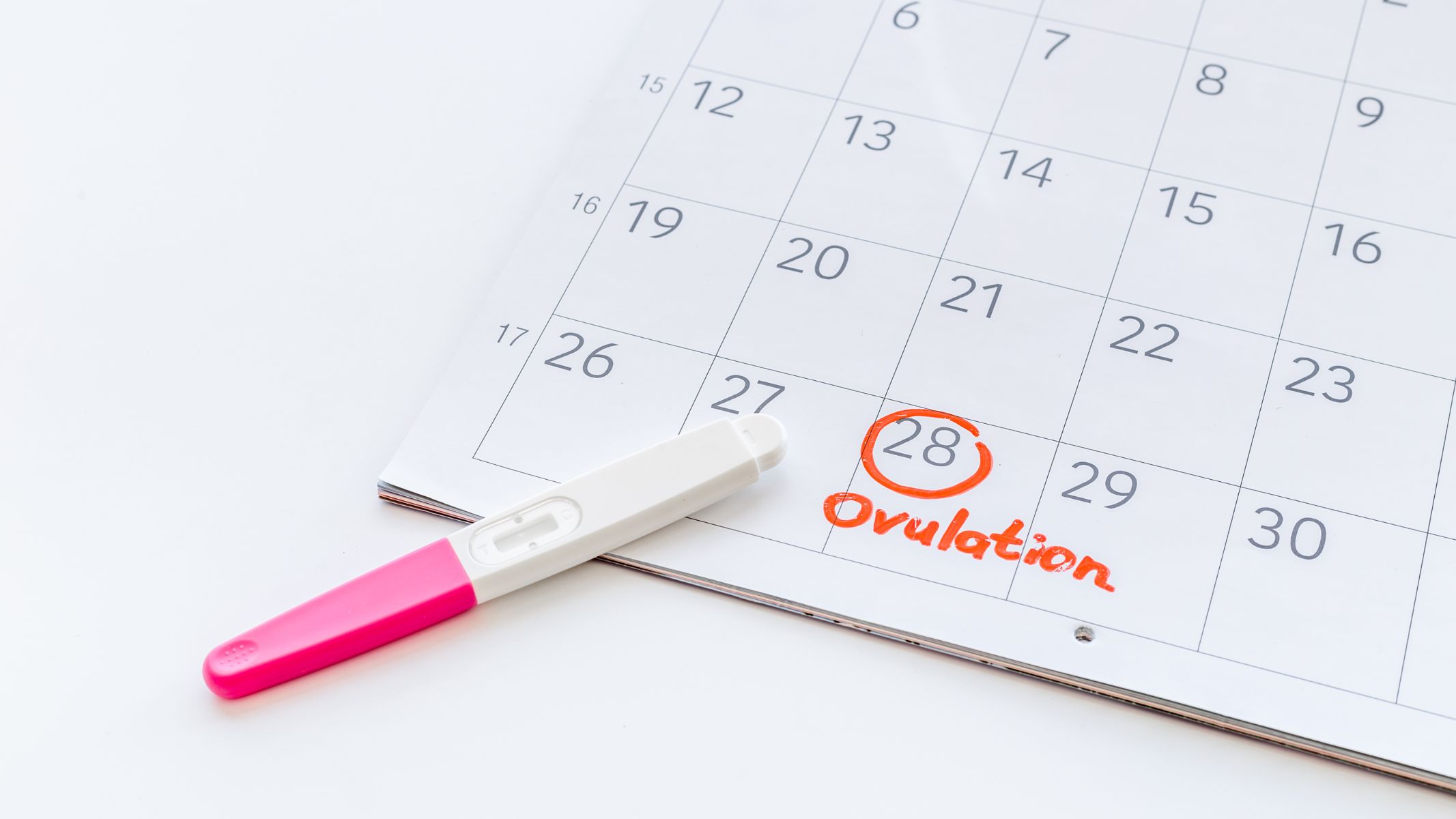 Que thử rụng trứng là dụng cụ giúp xác định thời điểm trứng rụng trong chu kỳ kinh nguyệt