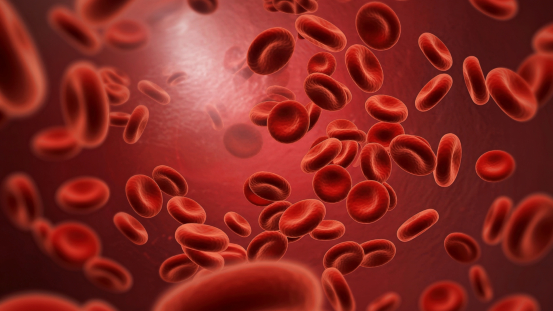 Rau bồ công anh có nhiều khoáng chất như sắt, giúp hỗ trợ trong quá trình tạo máu