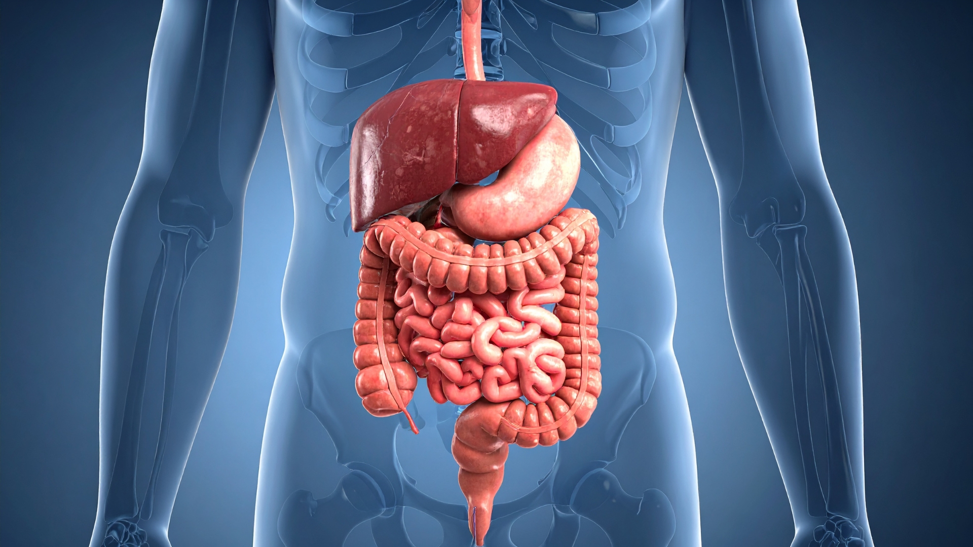 Rau bồ công anh được cho là có khả năng hỗ trợ chức năng gan và hỗ trợ tiêu hóa