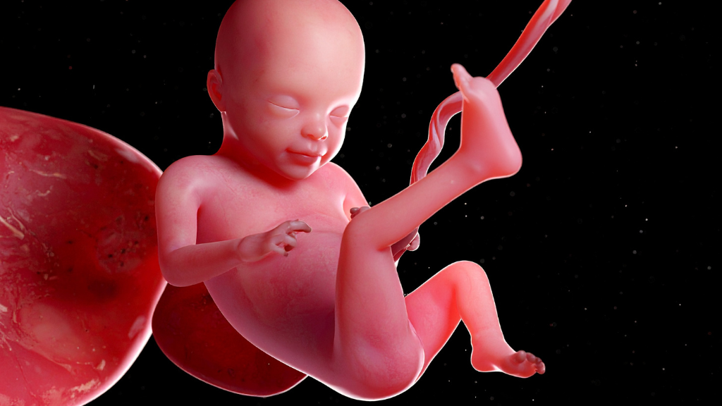 Việc tìm hiểu rõ rau cài răng lược là gì sẽ giúp mẹ bầu chủ động phòng ngừa những biến chứng nghiêm trọng