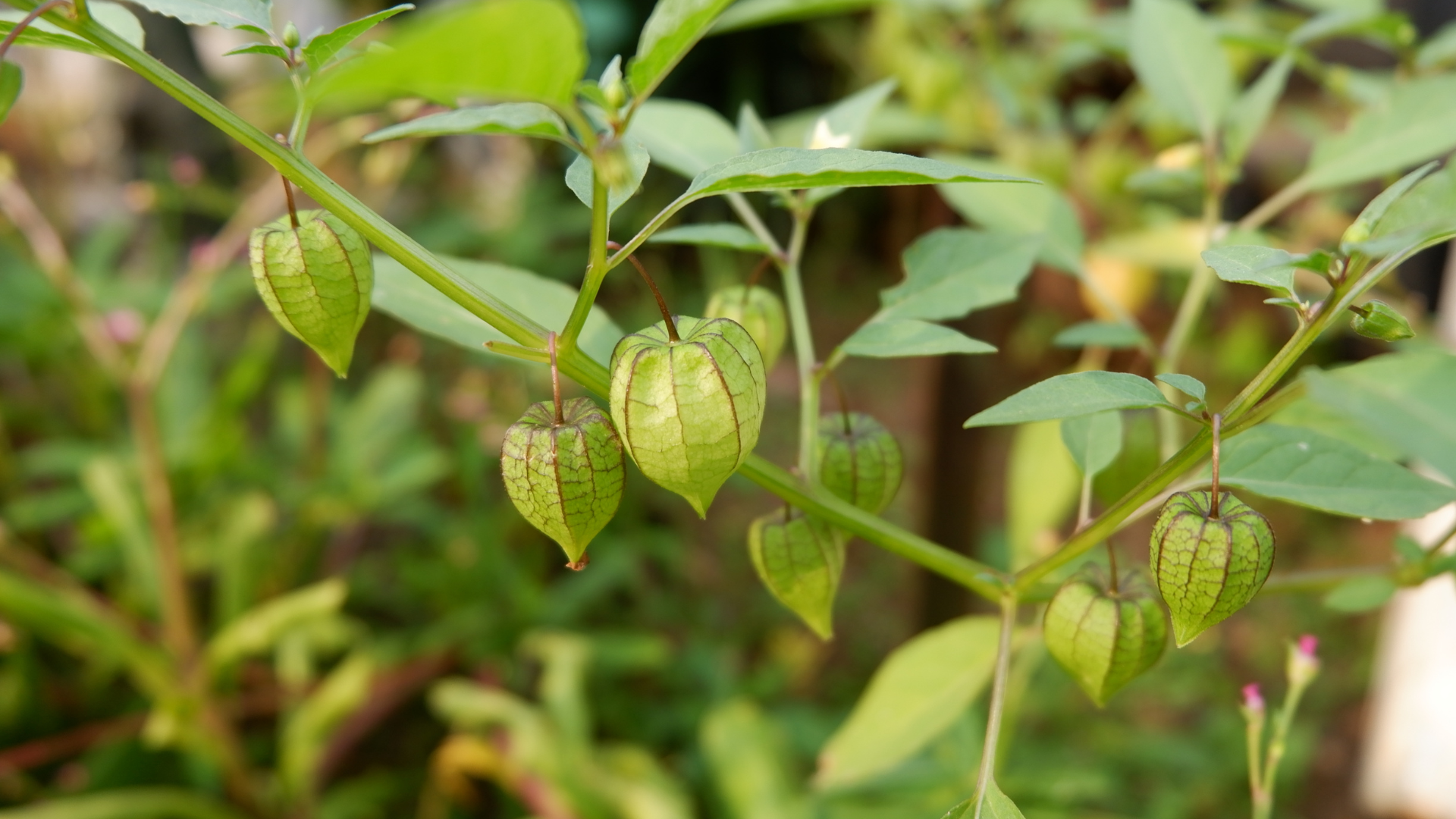 ần lưu ý khi dùng để đảm bảo hiệu quả và an toàn