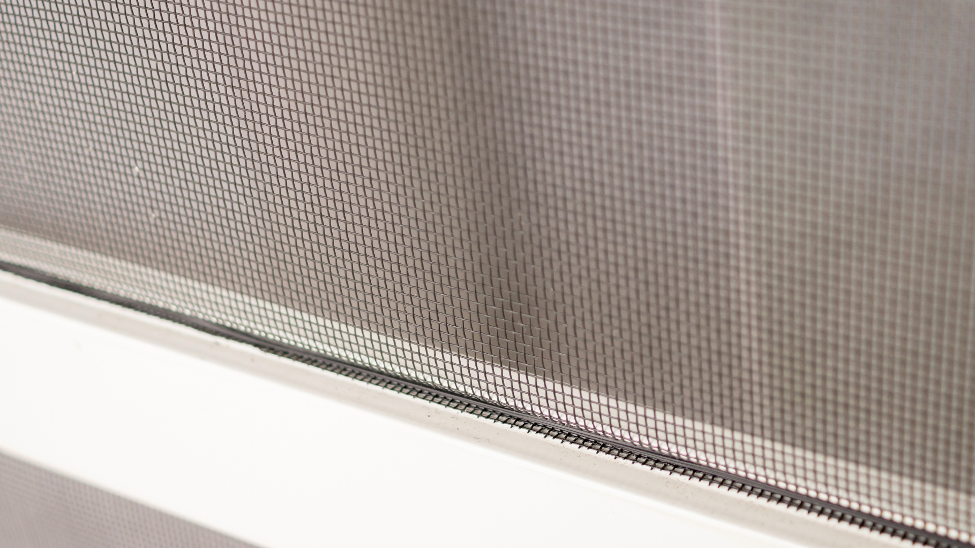 Giữ nhà khô ráo, kiểm tra giày dép giúp hạn chế nguy cơ rết cắn