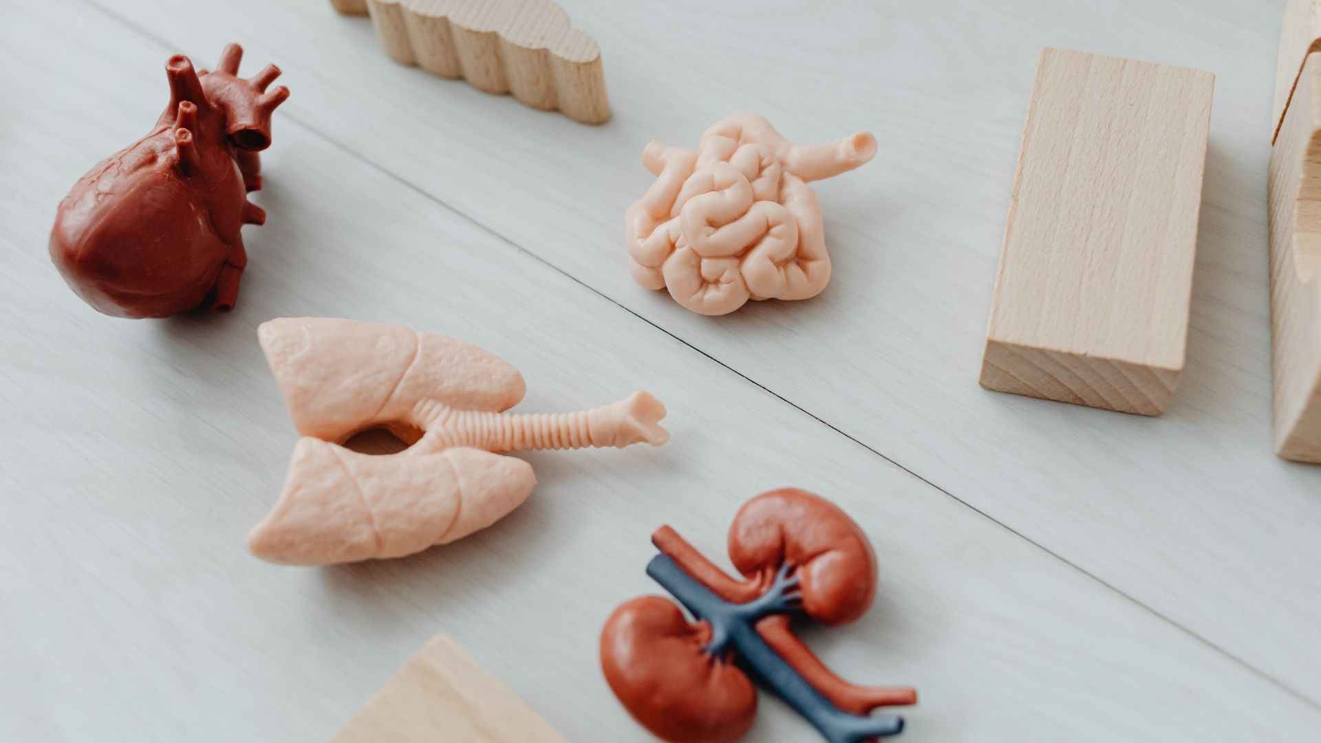 Rối loạn ăn uống kéo dài gây suy chức năng cơ quan