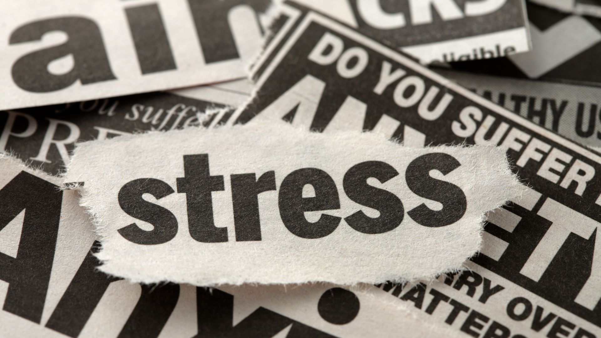 Stress là một nguyên nhân dẫn đến rối loạn giấc ngủ không thực tổn