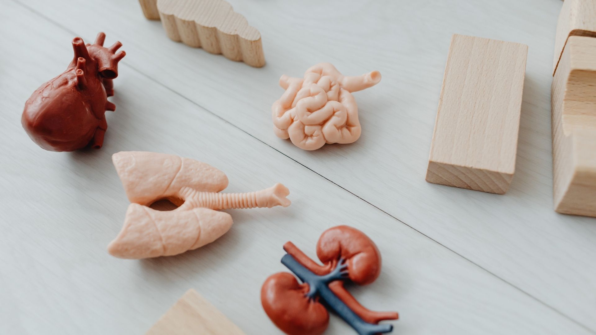 Rối loạn lo âu có thể do bệnh lý thực thể từ cơ quan khác