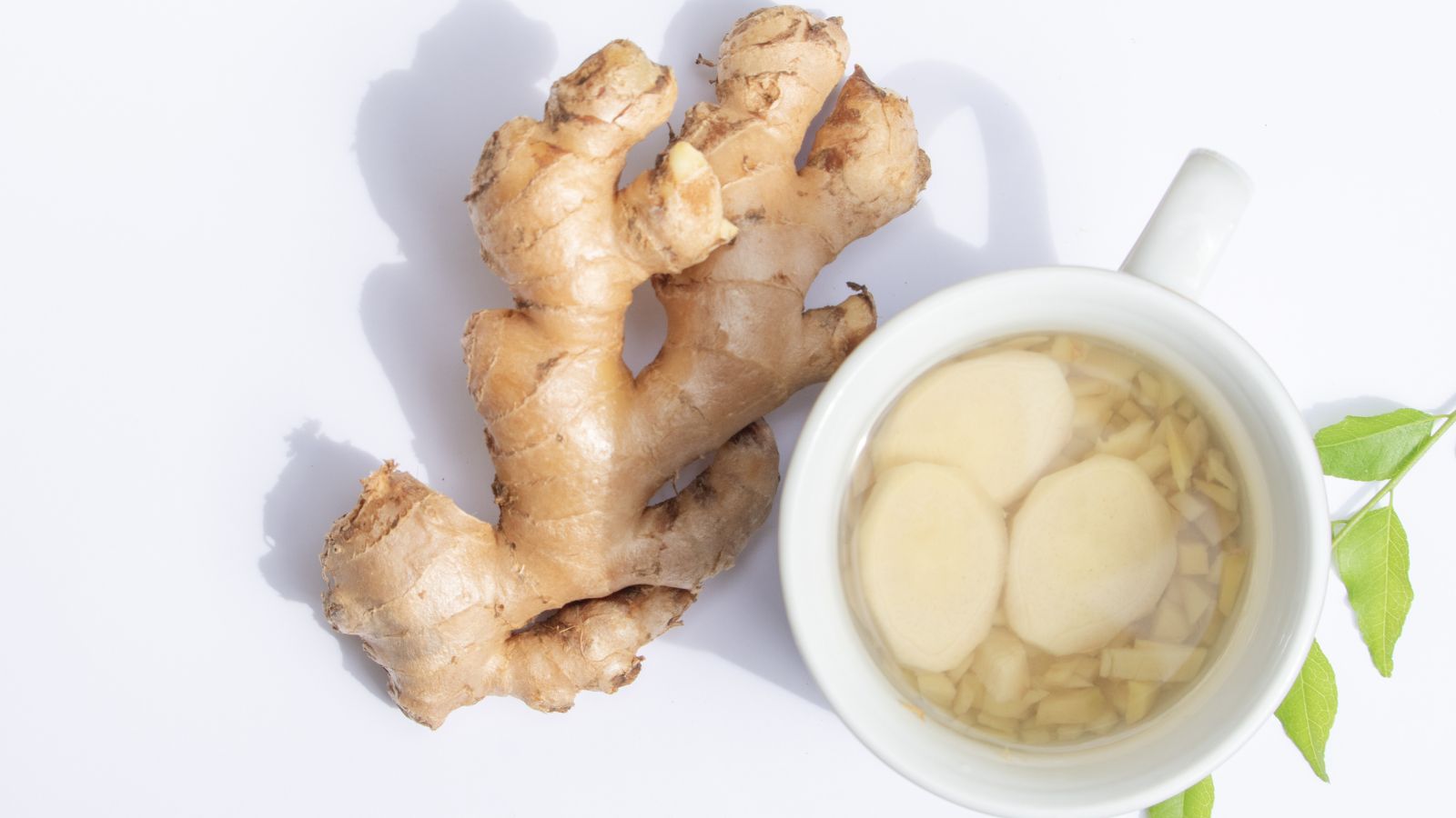 Uống nước gừng ấm để cải thiện tình trạng rối loạn tiêu hóa