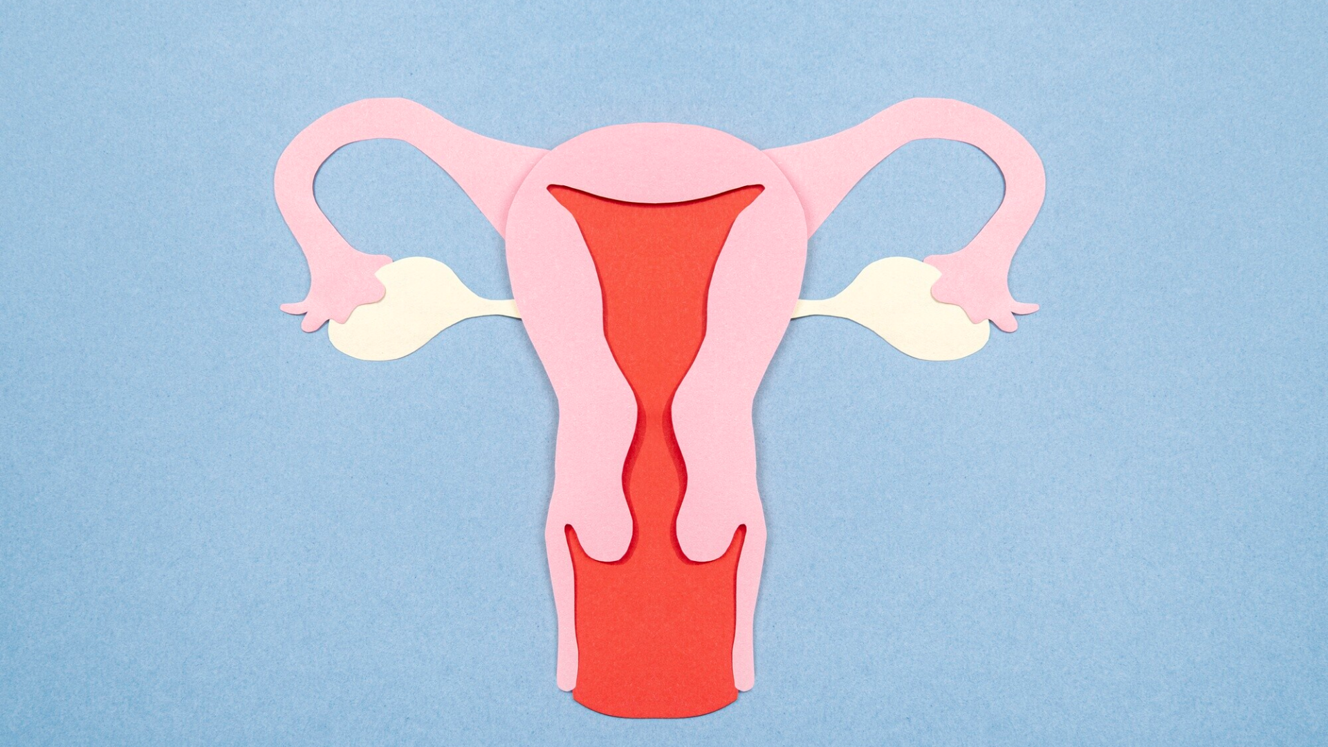 Khi hệ thống mô, cơ và dây chằng tại sàn chậu bị yếu, bàng quang sẽ sa xuống