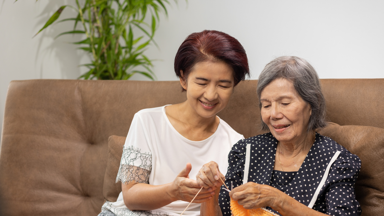 Sâm ngâm mật ong giúp cải thiện trí nhớ và giảm căng thẳng vượt trội