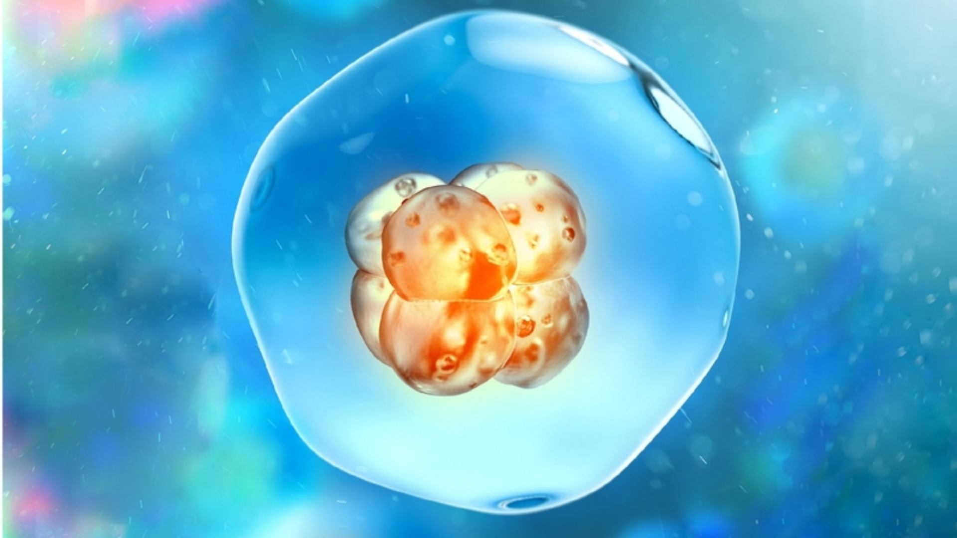 Sau chuyển phôi 6 ngày ra dịch máu nâu là dấu hiệu gì? - Trung tâm Tiêm ...