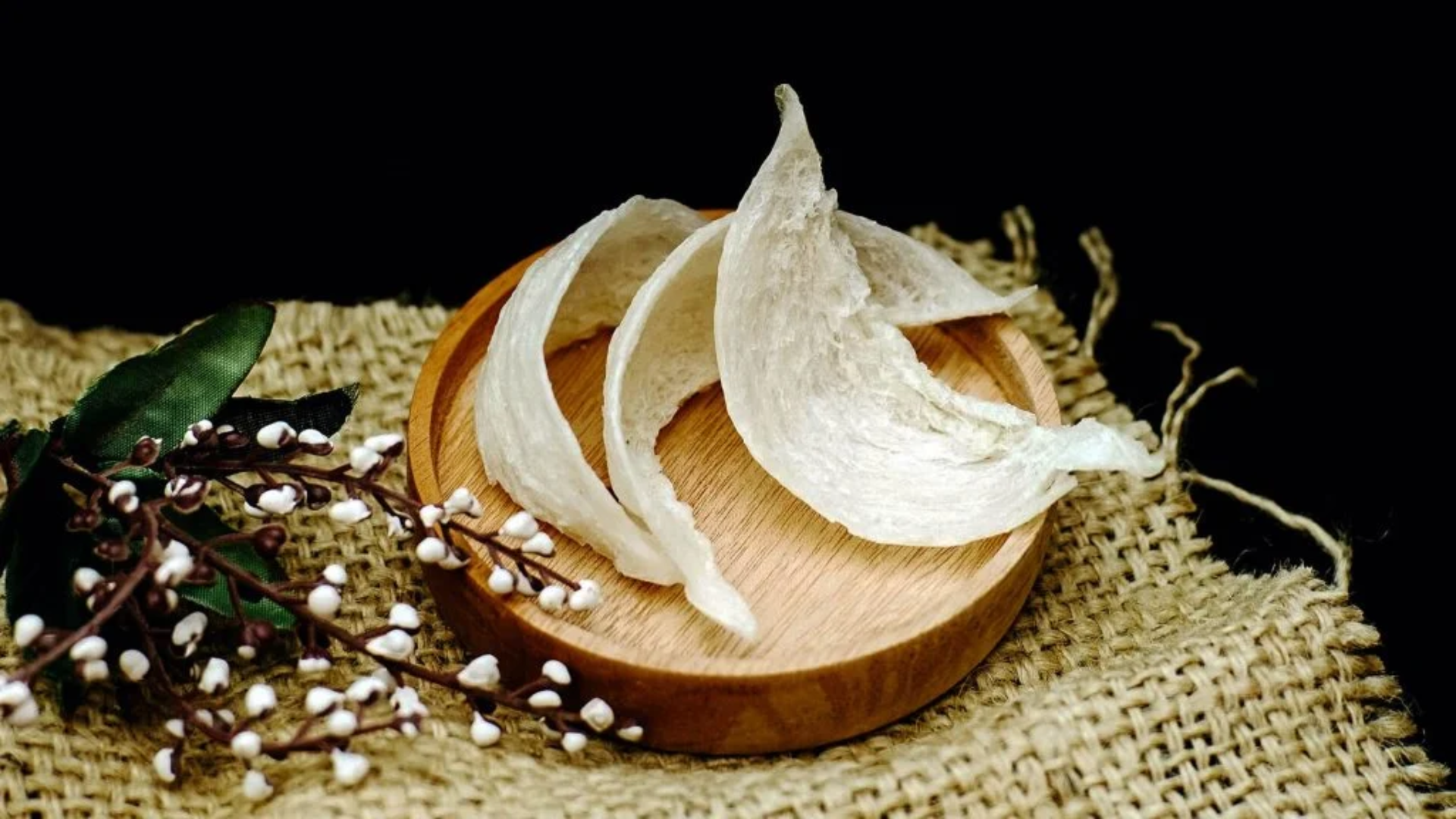 Yến sào giàu protein, khoáng chất và hợp chất quý, giúp tăng cường sức khỏe, miễn dịch và phát triển cơ thể