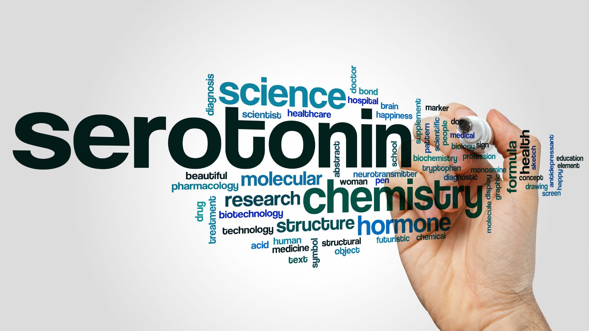 Serotonin là gì? Đây là một chất dẫn truyền thần kinh quan trọng, đồng thời cũng hoạt động như một hormone