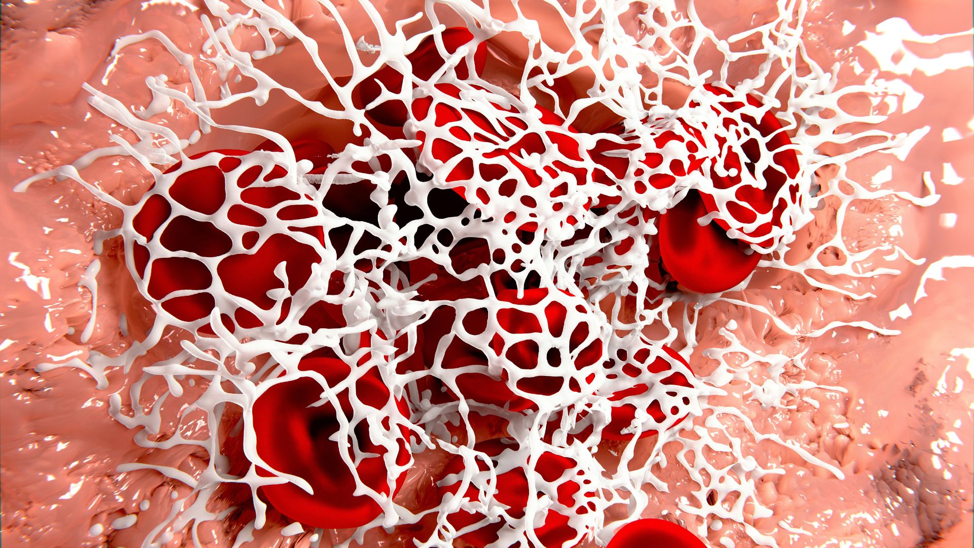Serotonin tham gia vào quá trình đông máu