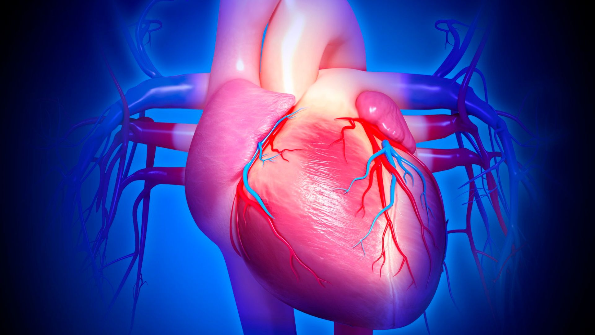 Siêu âm tim sử dụng sóng siêu âm có tần số cao để kiểm tra hoạt động của tim