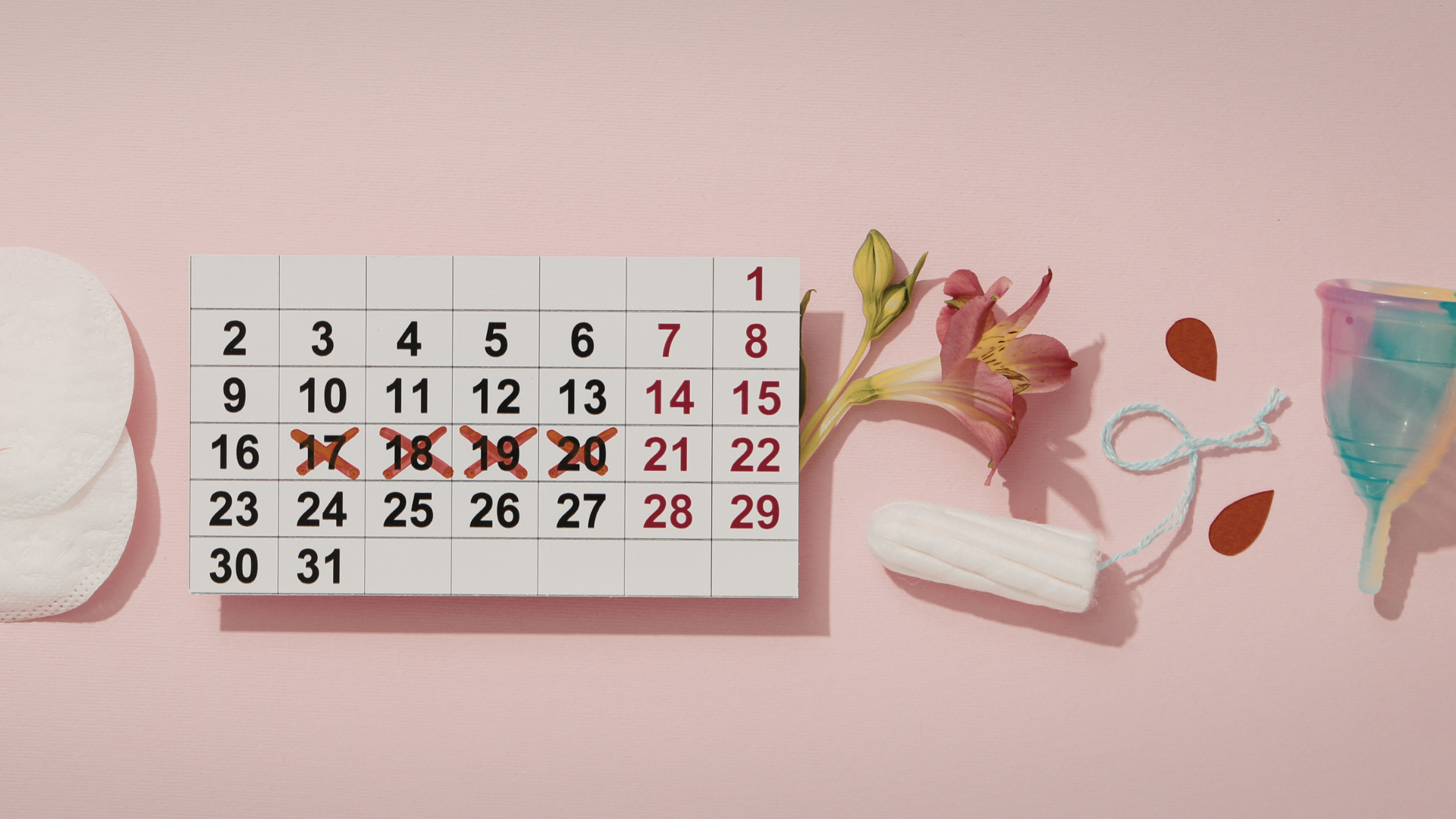 Siêu âm tử cung được sử dụng để theo dõi chu kỳ rụng trứng và xác định thời điểm quan hệ hoặc thụ tinh tối ưu