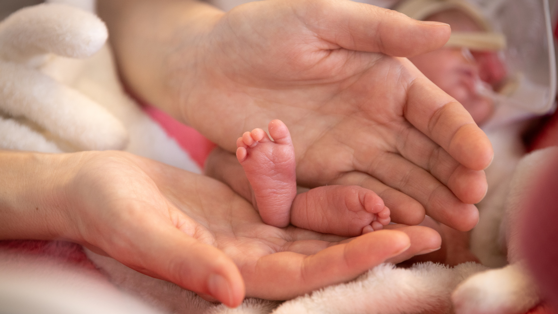 Tỷ lệ sống của trẻ sinh non 25 tuần tại các trung tâm NICU hiện đại hiện đạt 50 - 70%