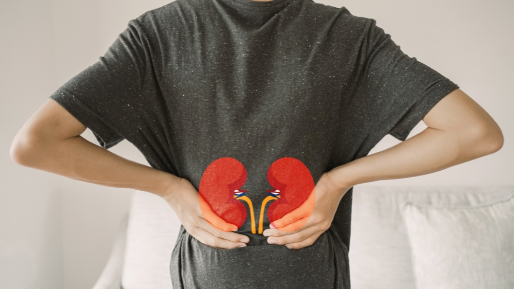 Sinh thiết thận: Quy trình, chỉ định và những điều cần lưu ý 2